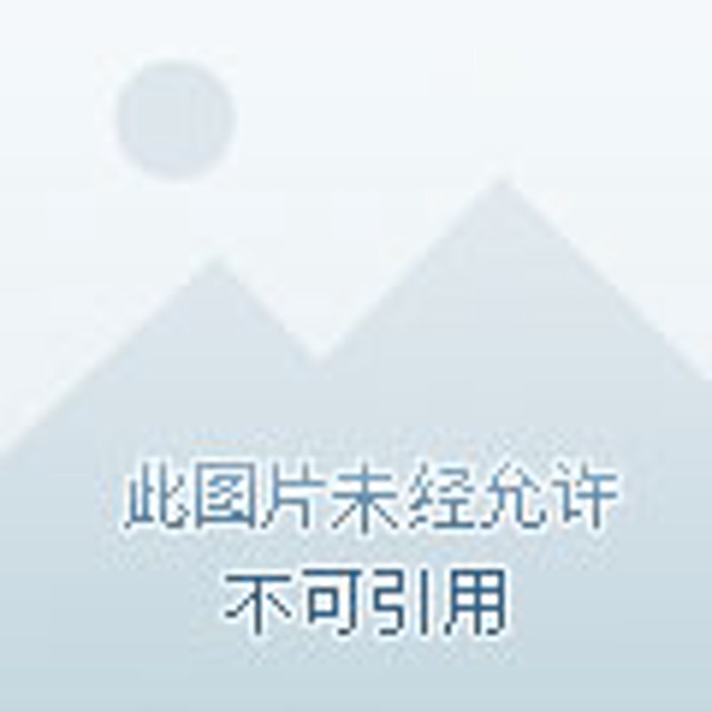 工程服务发票：如何正确开具与处理？